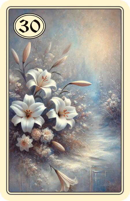 30. Die Lilien