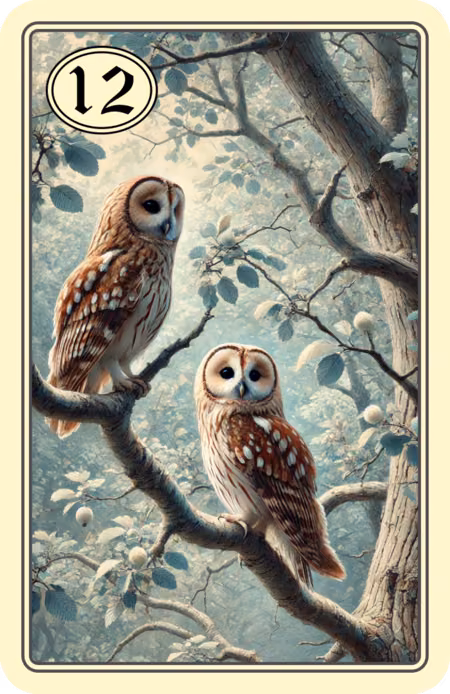 12. Die Vögel
